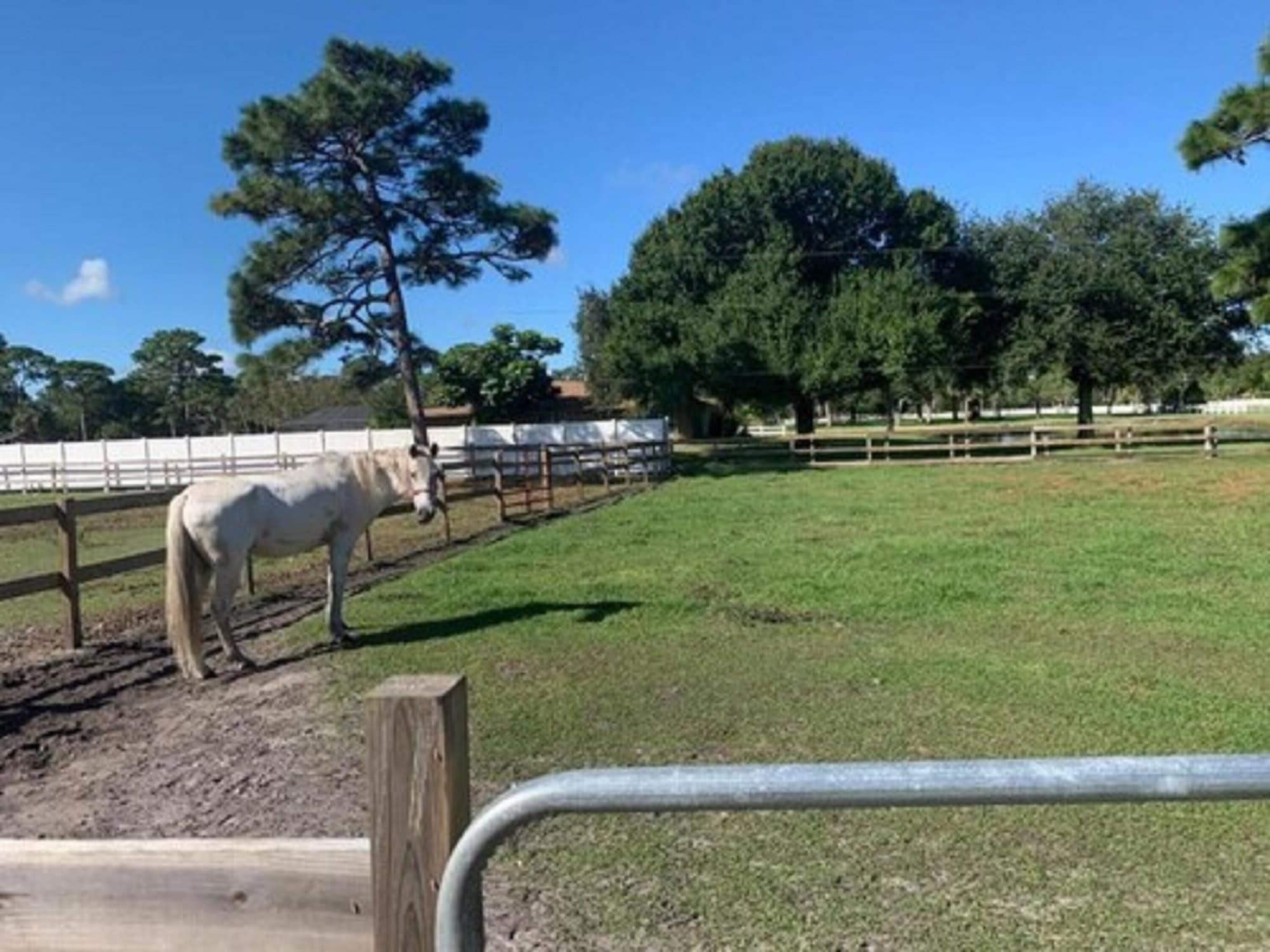 ホテル Oyo Family Ranch At Melbourne Fl エクステリア 写真